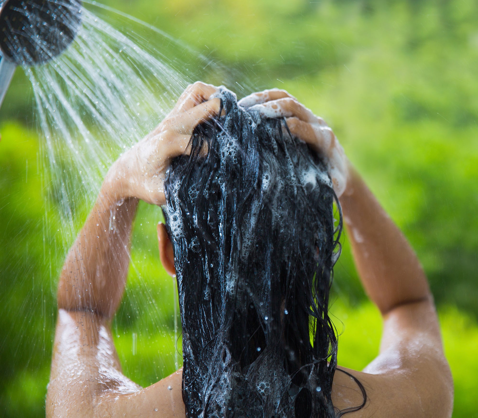 Everyday Beautiful Shampoo